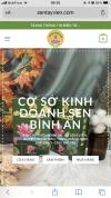 Hạt sen Tây Viên - Quảng Nam