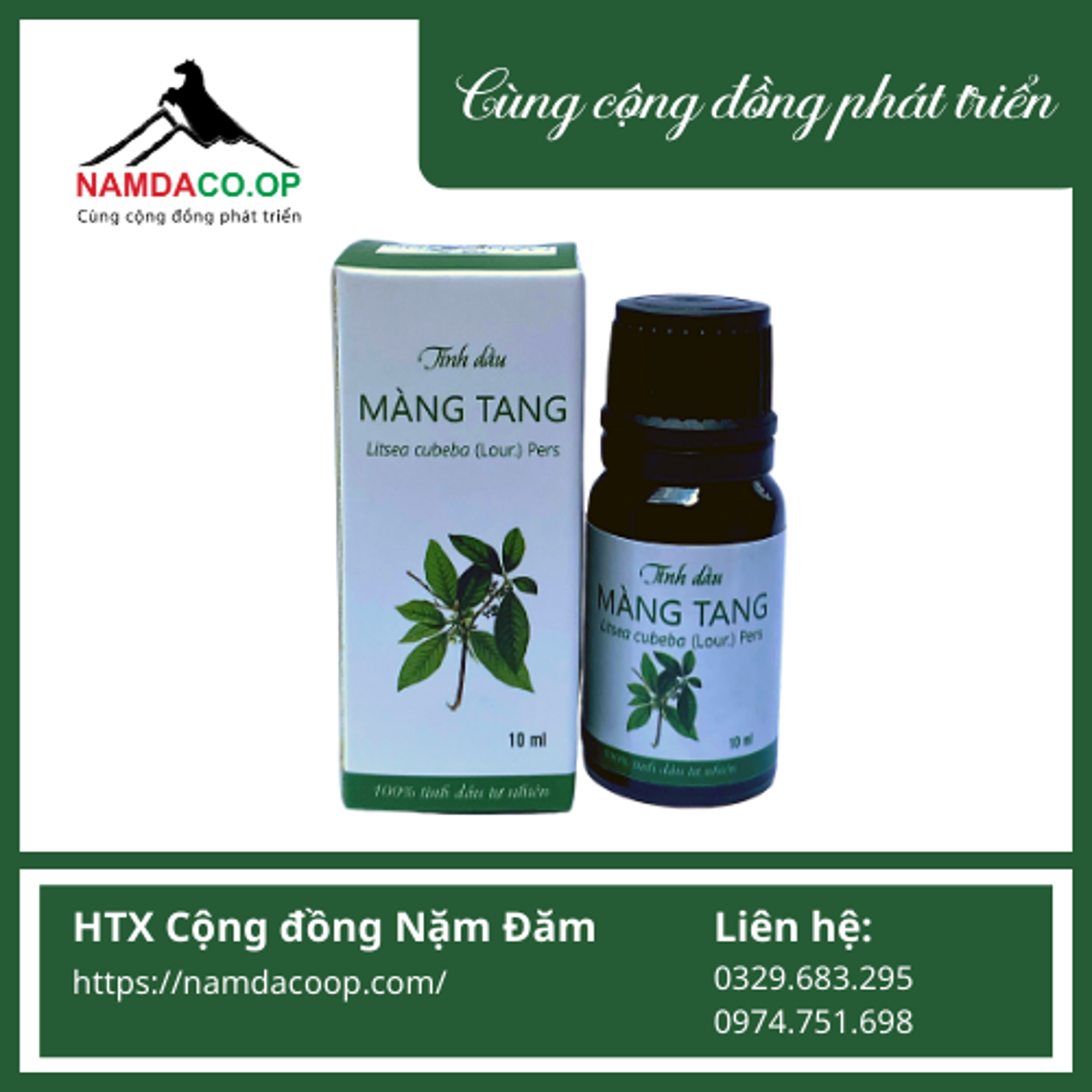 Tinh dầu Màng tang - Hà Giang