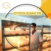 Đông trùng hạ thảo QT- Tech