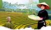 Đặc sản cốm Hồng Quang