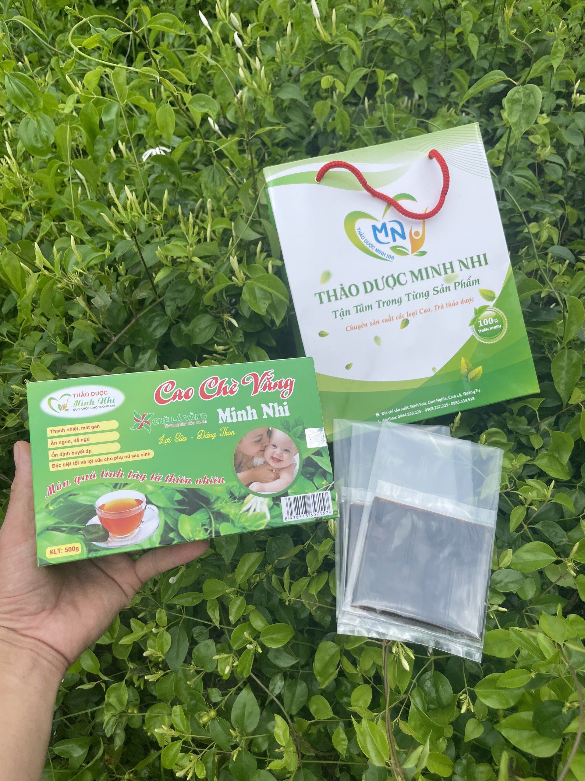 Cao chè vằng Minh Nhi