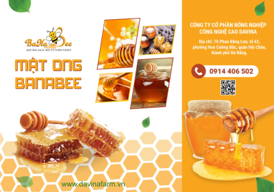 Mật ong BanaBee - Đà Nẵng