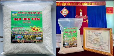 Gạo Hòa Tiến