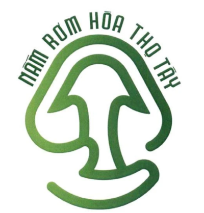 Nấm rơm tươi Hòa Thọ Tây - Đà Nẵng