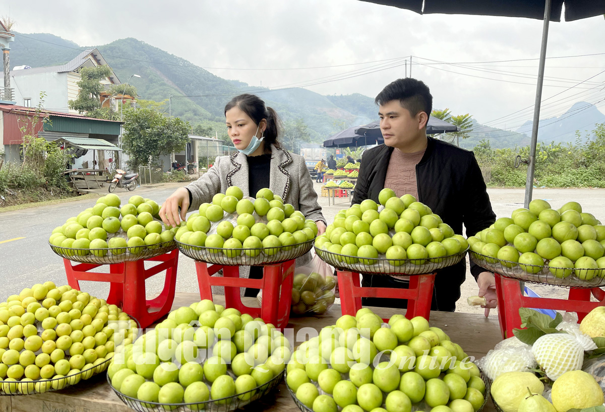 Táo Động Tiên