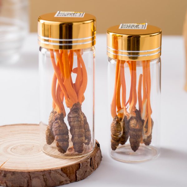 Đông trùng hạ thảo Cordyceps King