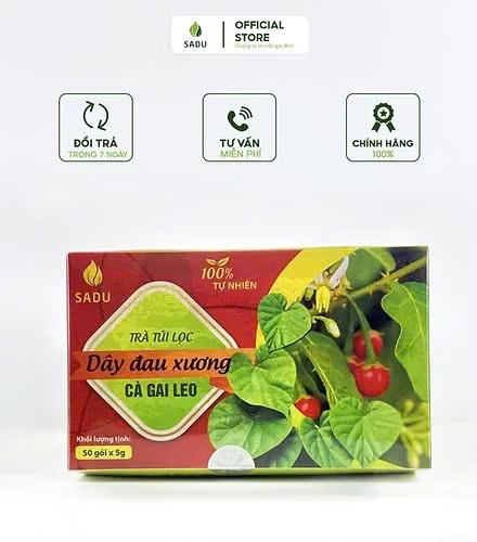 Trà túi lọc dây đau xương cà gai leo