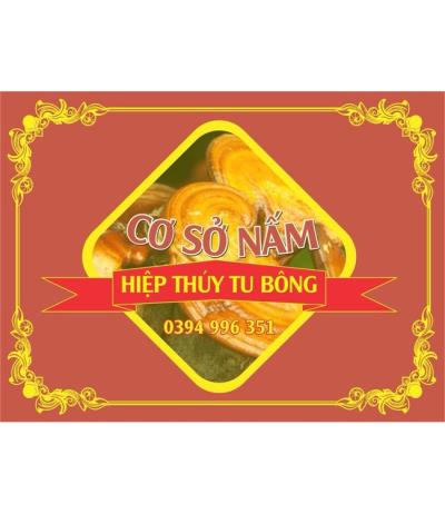 Nấm bào ngư Hiệp Thúy - Khánh Hoà