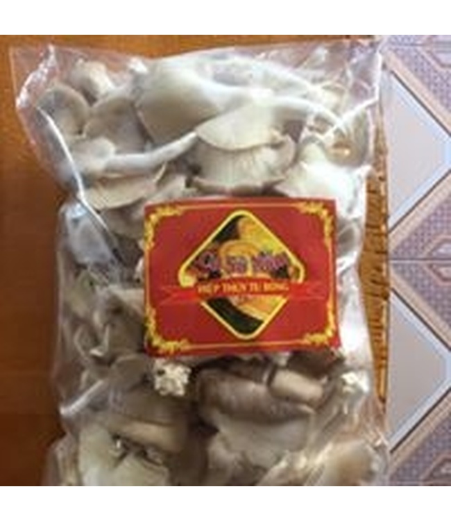 Nấm bào ngư Hiệp Thúy - Khánh Hoà