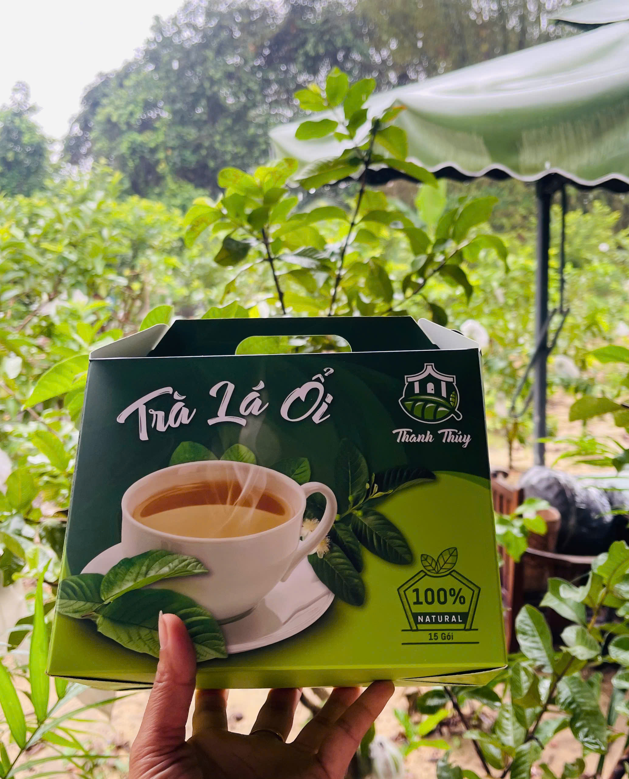 Trà lá ổi Thanh Thúy