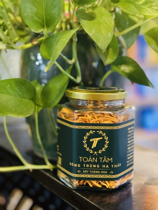 Set quà tặng Đông trùng hạ thảo sấy thăng hoa - sấy lạnh