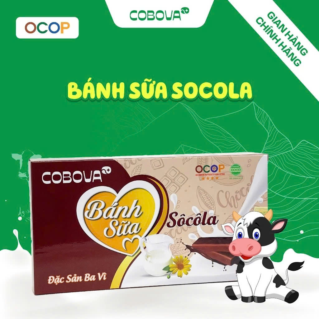 Bánh sữa socola COBOVA