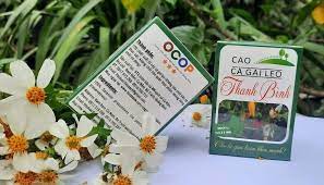 Cao cà gai leo Thanh Bình